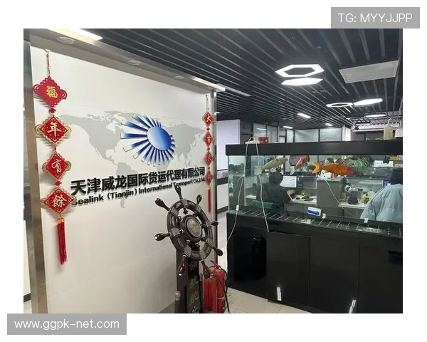 威龙国际:以科技创新驱动企业数字化转型,助力行业升级与变革