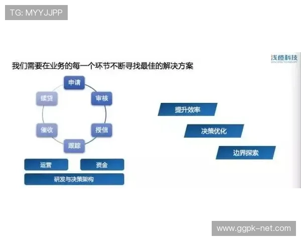 分析DG视讯在安全保障与数据隐私保护方面的解决方案