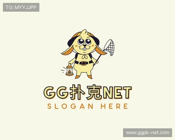解读gg扑克net